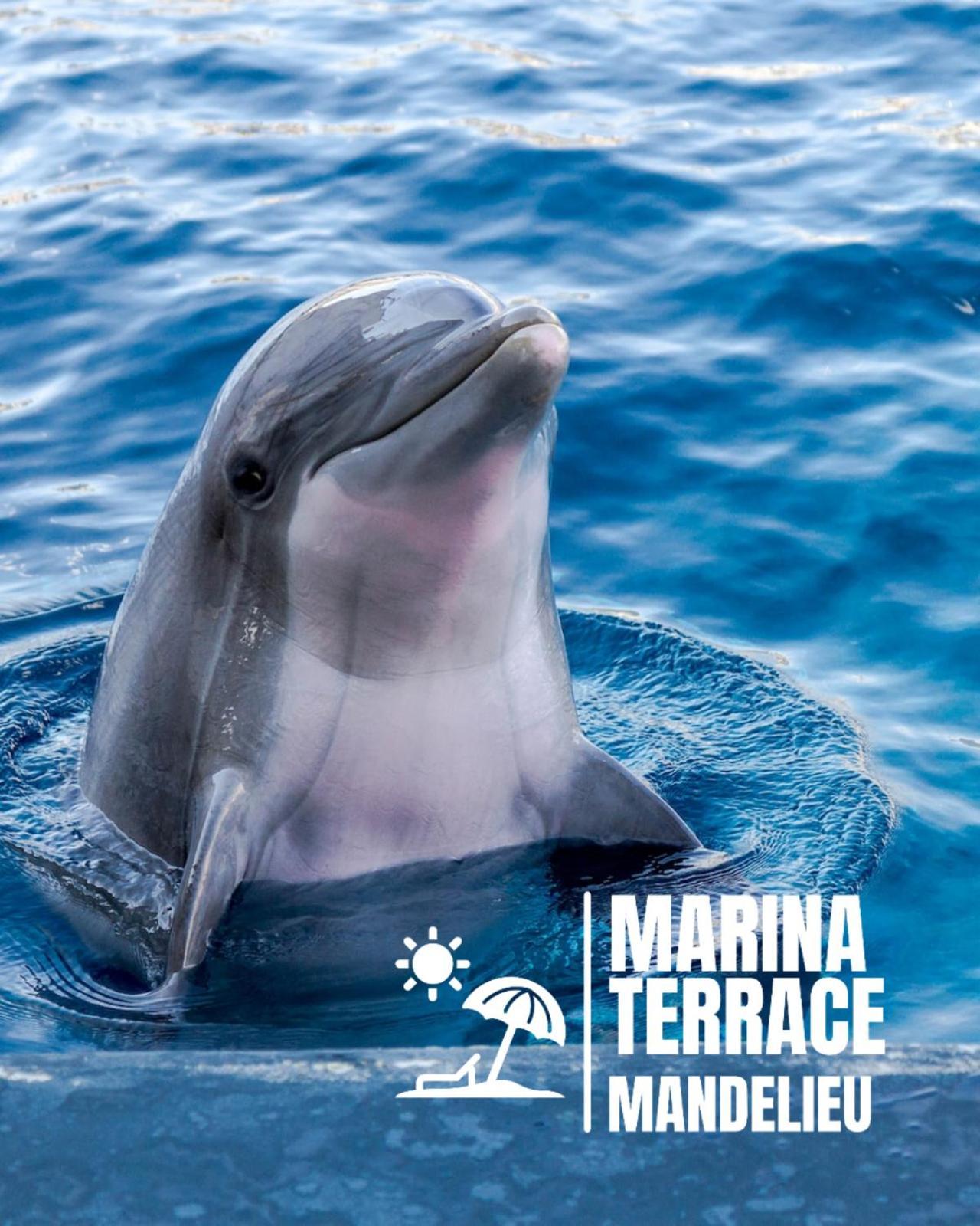 Апартаменты Marina Terrace Мандельё-ла-Напуль Экстерьер фото